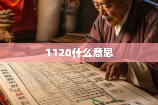 1120什么意思 1120什么意思