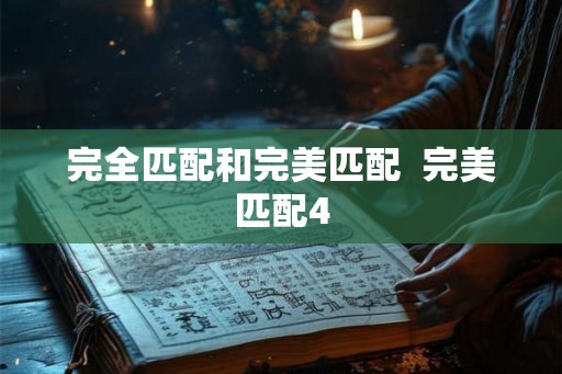 完全匹配和完美匹配 完美匹配4 完全匹配和完美匹配 完美匹配4