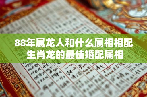 88年属龙人和什么属相相配 生肖龙的最佳婚配属相