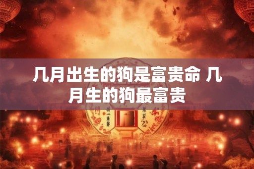 几月出生的狗是富贵命 几月生的狗最富贵 几月出生的狗是富贵命 几月生的狗最富贵