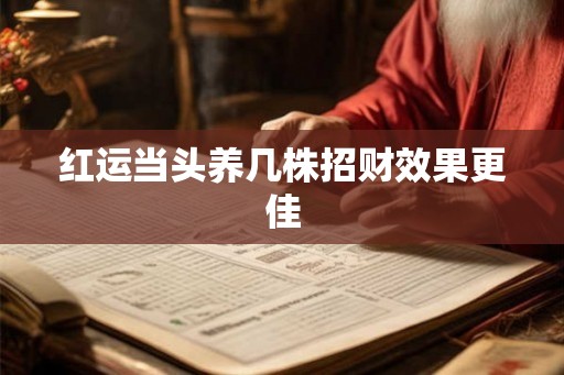 红运当头养几株招财效果更佳 红运当头养几株招财效果更佳