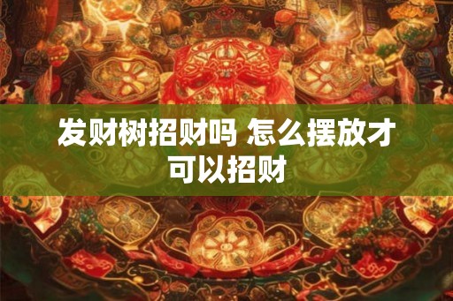 发财树招财吗 怎么摆放才可以招财
