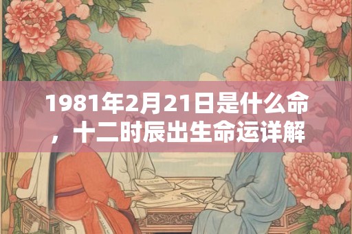 1981年2月21日是什么命，十二时辰出生命运详解