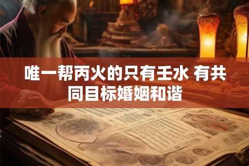 唯一帮丙火的只有壬水 有共同目标婚姻和谐