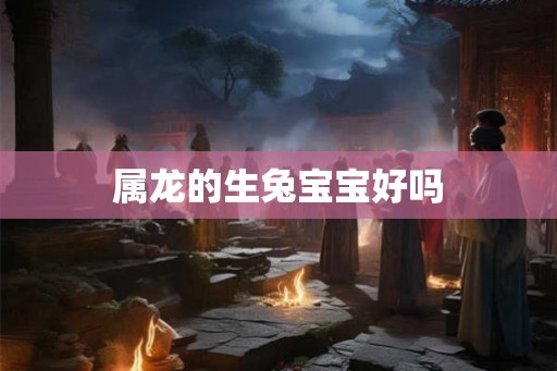 属龙的生兔宝宝好吗