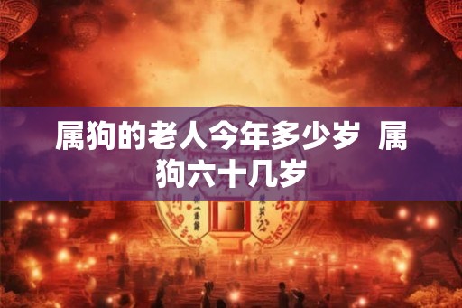属狗的老人今年多少岁 属狗六十几岁 属狗的老人今年多少岁 属狗六十几岁