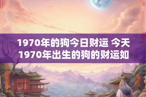 1970年的狗今日财运 今天1970年出生的狗的财运如何