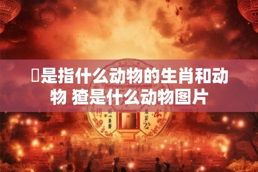 欎是指什么动物的生肖和动物 猹是什么动物图片
