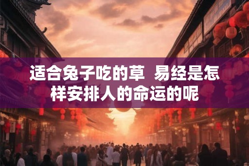 适合兔子吃的草 易经是怎样安排人的命运的呢 适合兔子吃的草 易经是怎样安排人的命运的呢
