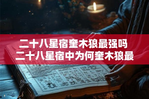 二十八星宿奎木狼最强吗 二十八星宿中为何奎木狼最强