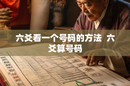 六爻看一个号码的方法  六爻算号码