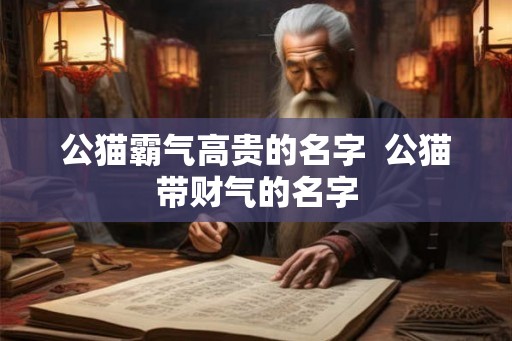 公猫霸气高贵的名字  公猫带财气的名字