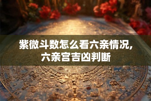 紫微斗数怎么看六亲情况,六亲宫吉凶判断