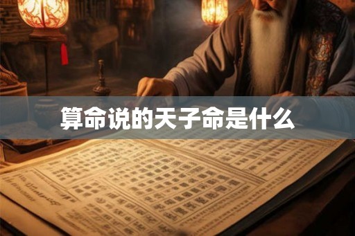 算命说的天子命是什么