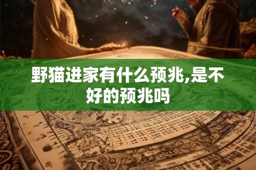 野猫进家有什么预兆,是不好的预兆吗