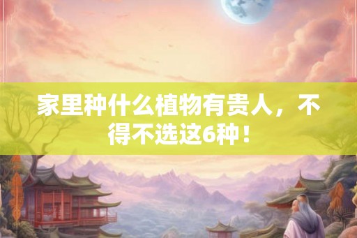 家里种什么植物有贵人,不得不选这6种! 家里种什么植物有贵人,不得不选这6种!