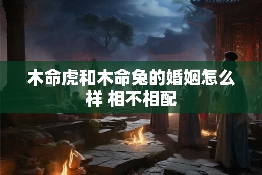 木命虎和木命兔的婚姻怎么样 相不相配