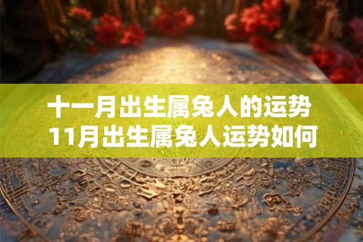 十一月出生属兔人的运势 11月出生属兔人运势如何