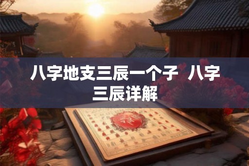 八字地支三辰一个子  八字三辰详解