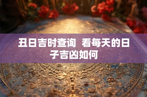 丑日吉时查询  看每天的日子吉凶如何