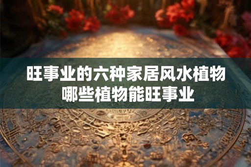 旺事业的六种家居风水植物 哪些植物能旺事业