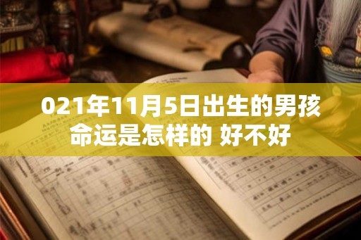 021年11月5日出生的男孩命运是怎样的 好不好