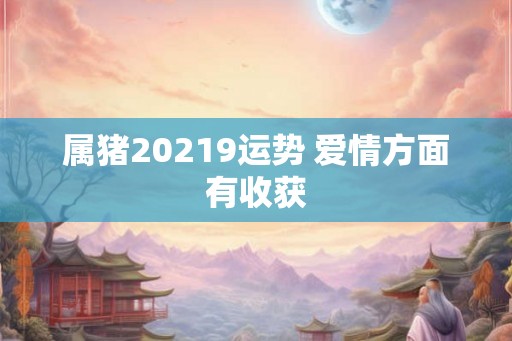 属猪20219运势 爱情方面有收获