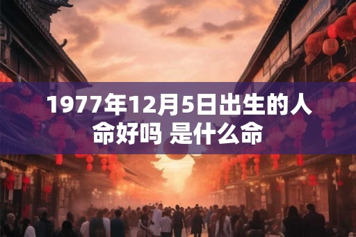 1977年12月5日出生的人命好吗 是什么命