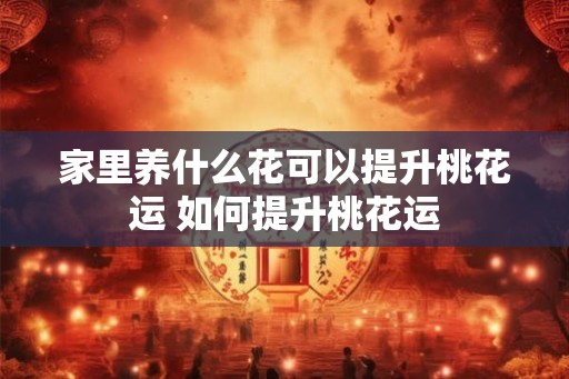 家里养什么花可以提升桃花运 如何提升桃花运