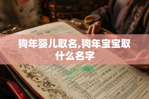 狗年婴儿取名,狗年宝宝取什么名字