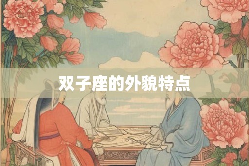 双子座的外貌特点