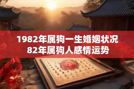 1982年属狗一生婚姻状况 82年属狗人感情运势