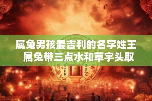 属兔男孩最吉利的名字姓王  属兔带三点水和草字头取名