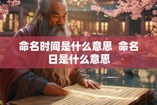 命名时间是什么意思  命名日是什么意思