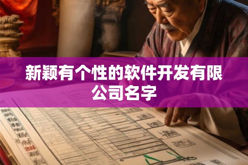 新颖有个性的软件开发有限公司名字