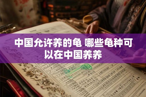 中国允许养的龟 哪些龟种可以在中国养养