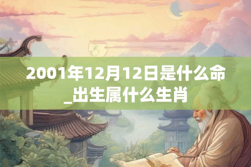 2001年12月12日是什么命_出生属什么生肖