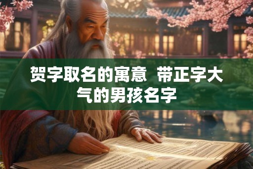 贺字取名的寓意  带正字大气的男孩名字