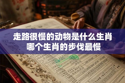 走路很慢的动物是什么生肖 哪个生肖的步伐最慢