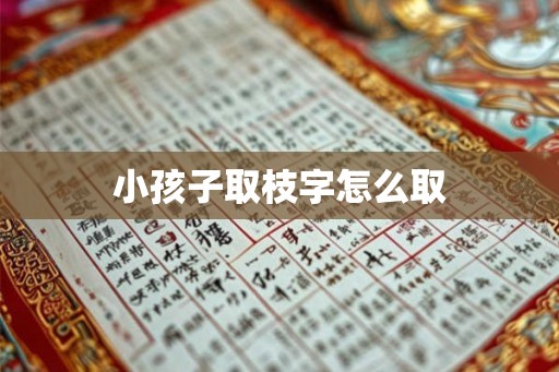 小孩子取枝字怎么取