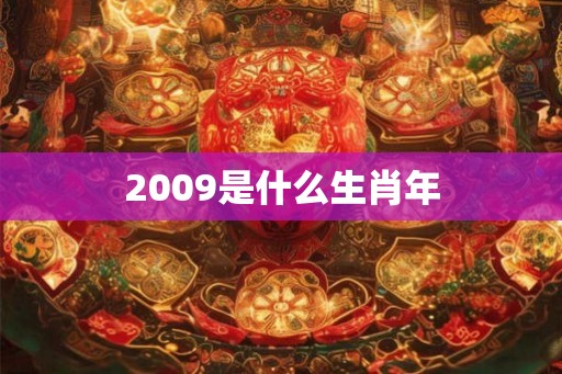 2009是什么生肖年