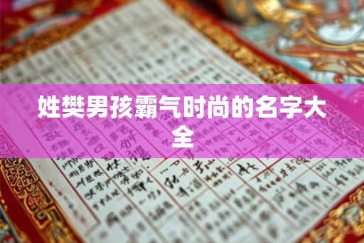 姓樊男孩霸气时尚的名字大全