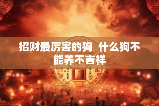 招财最厉害的狗  什么狗不能养不吉祥