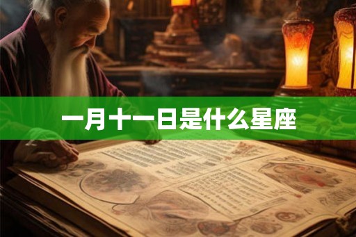 一月十一日是什么星座