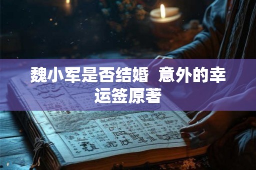 魏小军是否结婚  意外的幸运签原著