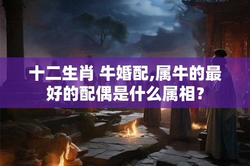 十二生肖 牛婚配,属牛的最好的配偶是什么属相？