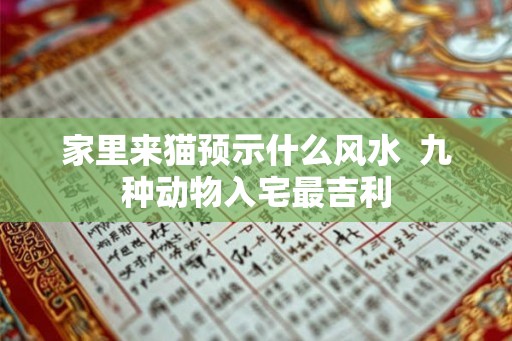 家里来猫预示什么风水  九种动物入宅最吉利