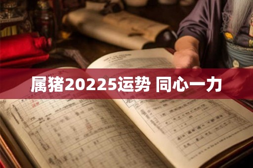 属猪20225运势 同心一力