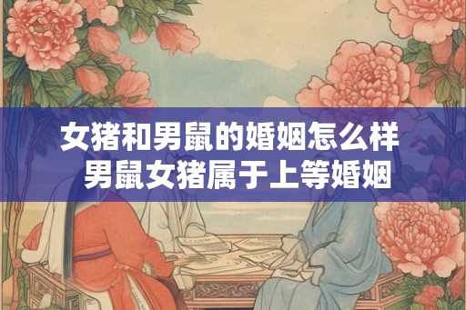 女猪和男鼠的婚姻怎么样 男鼠女猪属于上等婚姻 女猪和男鼠的婚姻怎么样 男鼠女猪属于上等婚姻