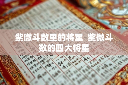紫微斗数里的将军 紫微斗数的四大将星 紫微斗数里的将军 紫微斗数的四大将星